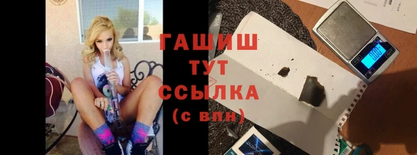 прущие грибы Пестово