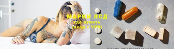 прущие грибы Абдулино