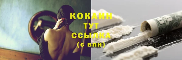 прущие грибы Пестово