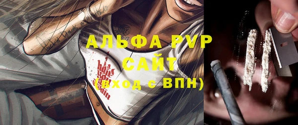 прущие грибы Абдулино