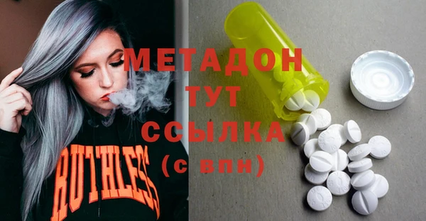 прущие грибы Пестово