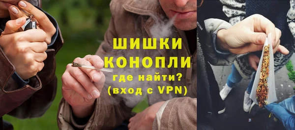 прущие грибы Абдулино